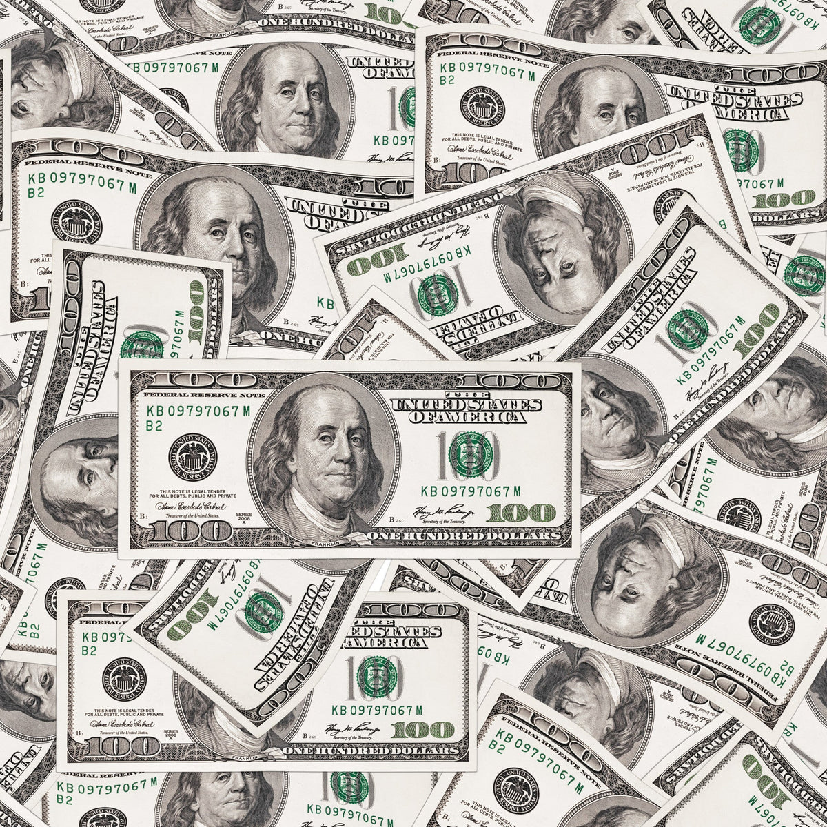 Daily Deal: 100 Dollar Bill Pattern 1 Quilting Cotton Fabric - 45" x 1 Yard"