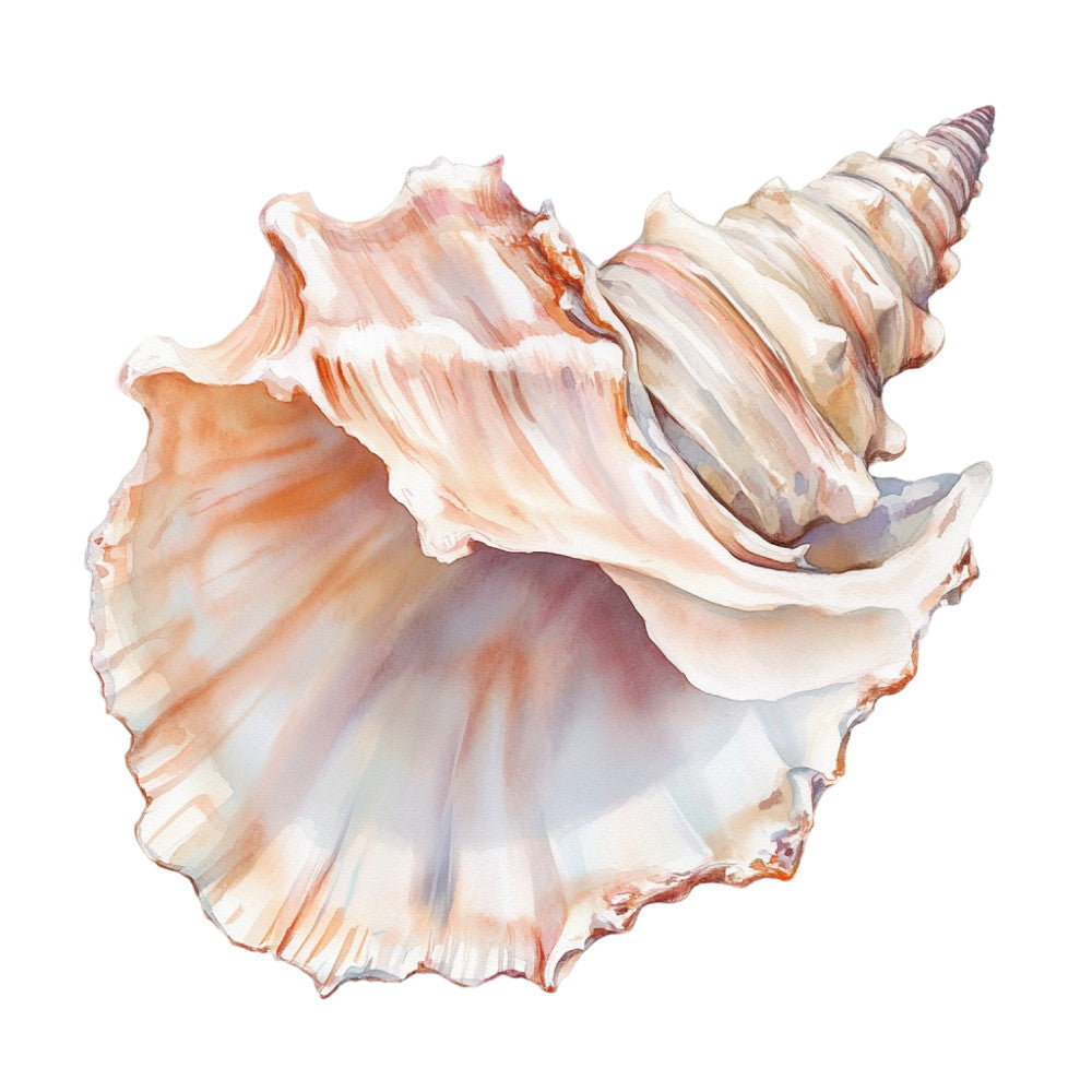 Watercolor Sea Shells Fabric Panel 9