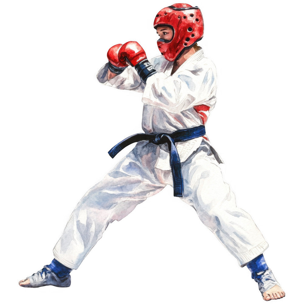 Karate Taekwondo Fabric Panel 15
