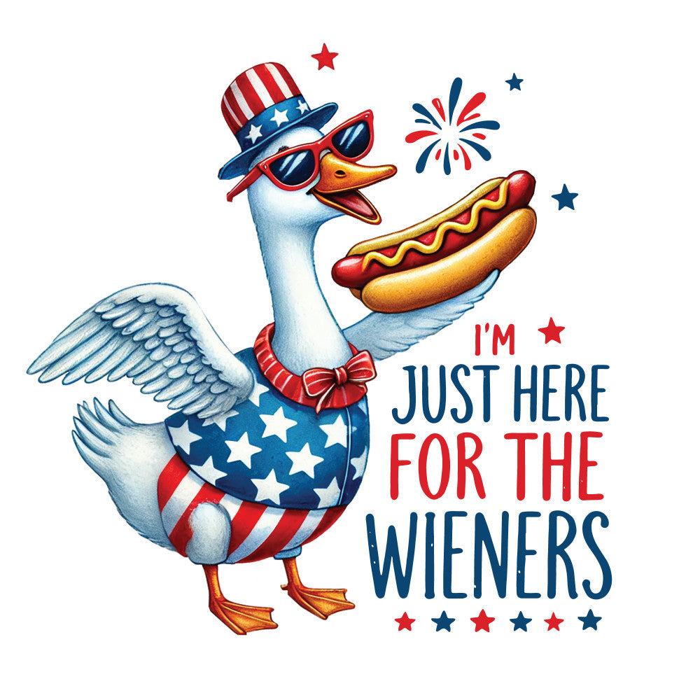Funny 4th of July Fabric Panel 3