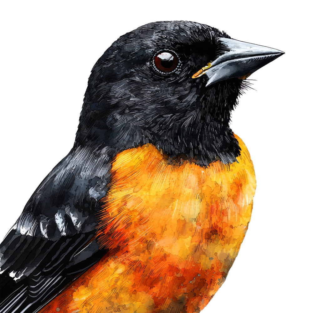 Baltimore Oriole Fabric Panel 15
