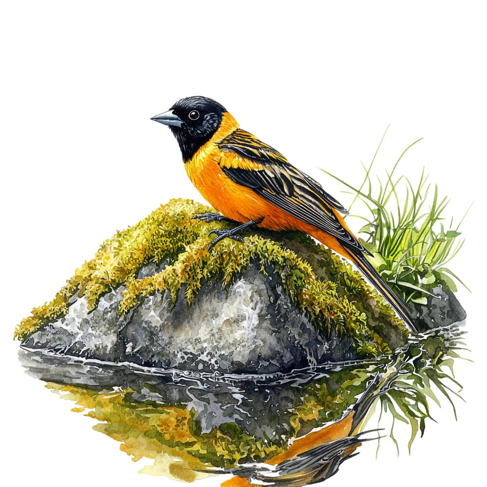 Baltimore Oriole Fabric Panel 19