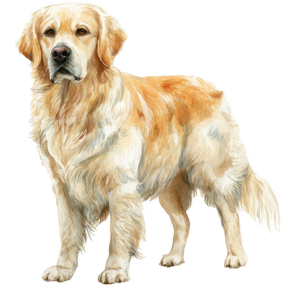 Golden Retriever Fabric Panel 7