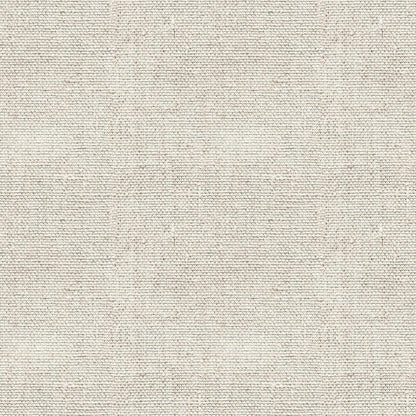 - Burlap Linen Pattern 13 Quilting Cotton Fabric  
- Natural beige color  
- Textured woven material  
- Rustic burlap style  
- Quilting fabric  
- Cotton textile  
- Neutral tone  
- Coarse weave  
- Durable fabric  
- Craft and sewing material