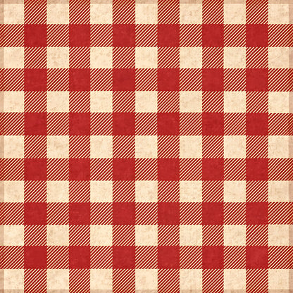 Buffalo Plaid Christmas Pattern 3 Quilting Cotton Fabric