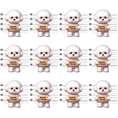 A grid of twelve cartoonish white dogs resembling mugshots, each holding a sign that reads Bichon Frise with height markers in the background.