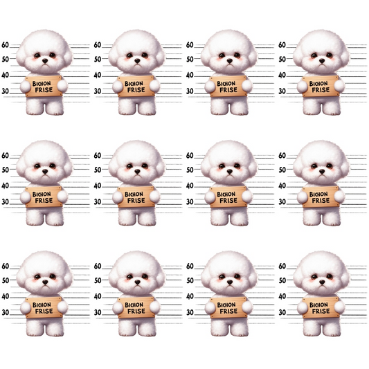 A grid of twelve cartoonish white dogs resembling mugshots, each holding a sign that reads Bichon Frise with height markers in the background.