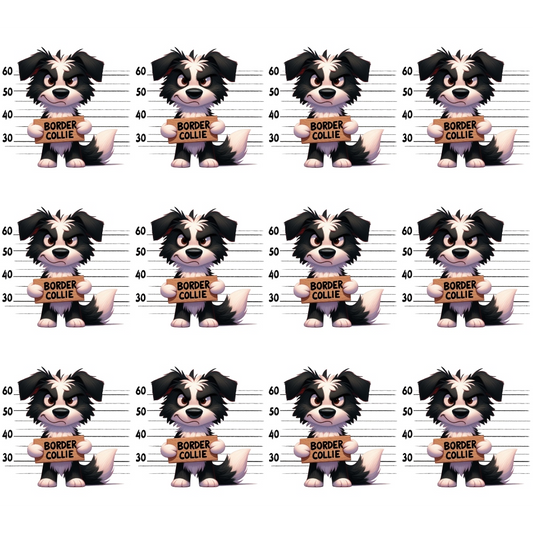 Twelve cartoon Border Collie dogs hold signs in front of measurement charts, resembling mugshots.