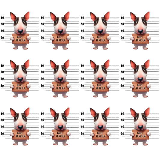 Cartoon bull terrier dogs holding Bull Terrier signs in front of height measurement backdrops arranged in a grid.