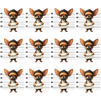 Twelve cartoon chihuahuas wearing sunglasses and beanies stand in front of a height chart, holding signs that read The Chihuahua in a lineup style.