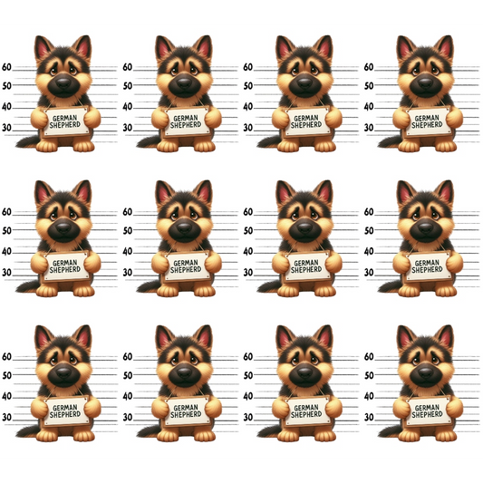 Cartoon German Shepherd illustrations in a mugshot style, arranged in a 3x4 grid, each holding a sign with German Shepherd against a height chart background.