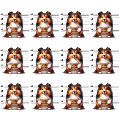 Twelve identical images of a cartoon Shetland Sheepdog in front of a police lineup backdrop, holding a sign with Shetland Sheepdog written on it.