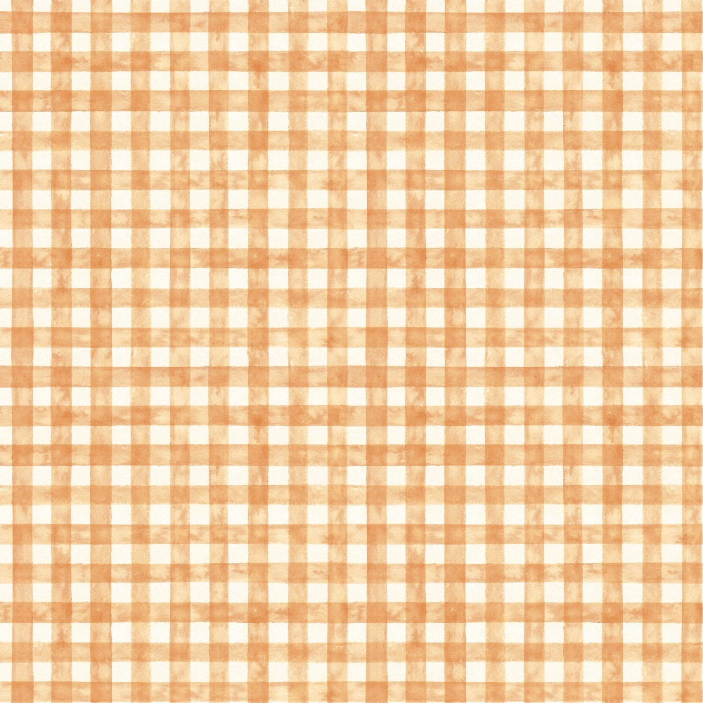 Orange and white gingham plaid pattern with a grid of intersecting lines creating a checkered design.