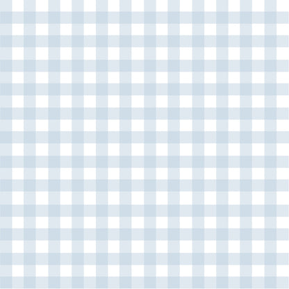 A light blue and white gingham pattern with evenly spaced vertical and horizontal stripes, forming a checkered grid across the entire image.