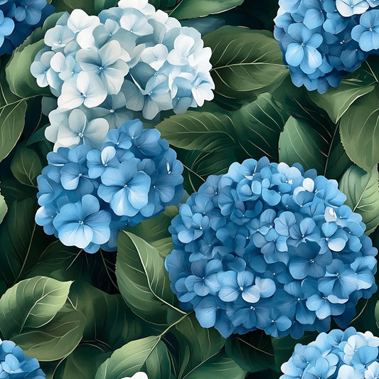 Blue and white hydrangea flowers surrounded by green leaves.