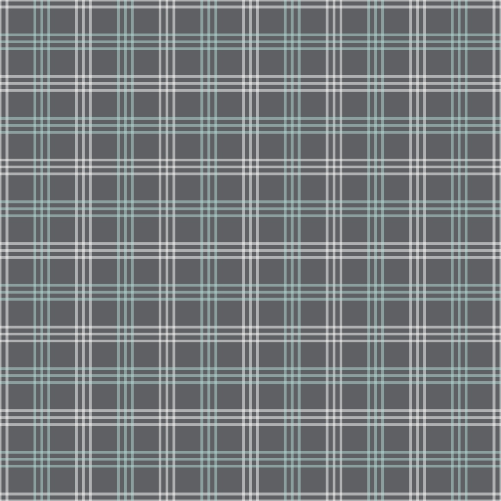 A plaid pattern with dark gray, white, and light blue stripes forming a grid.