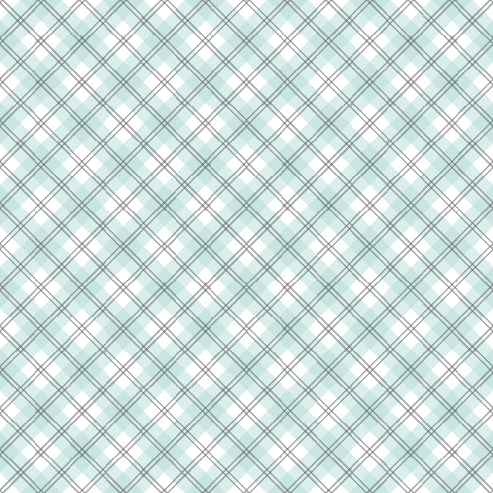 Light blue and white plaid pattern with intersecting diagonal lines forming squares over a repeating design.