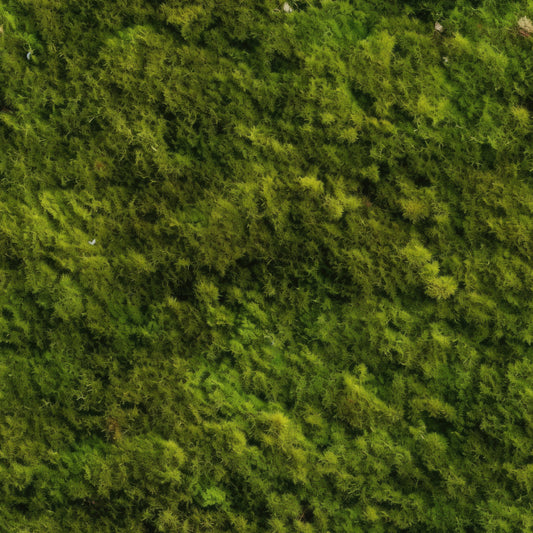 Moss Textures Pattern 11 Quilting Cotton Fabric