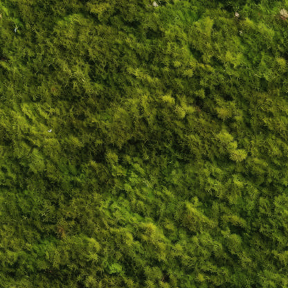 Moss Textures Pattern 11 Quilting Cotton Fabric