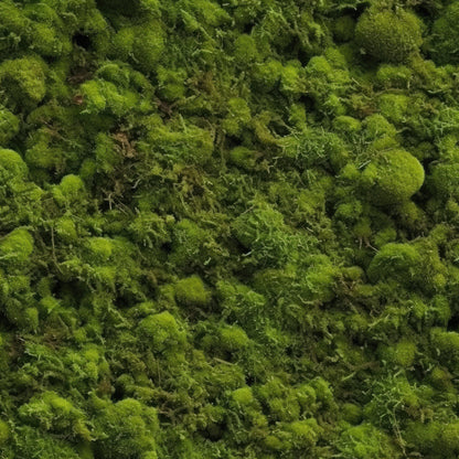 Moss Textures Pattern 12 Quilting Cotton Fabric