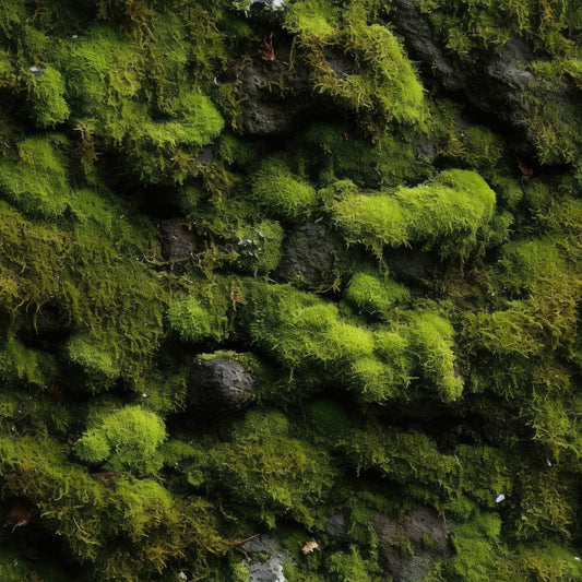 Moss Textures Pattern 4 Quilting Cotton Fabric