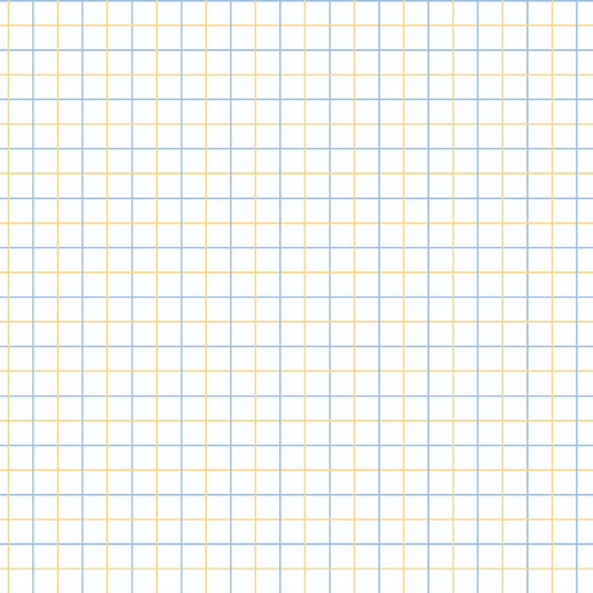 Grid paper with light blue vertical and horizontal lines intersecting at right angles, forming small squares.