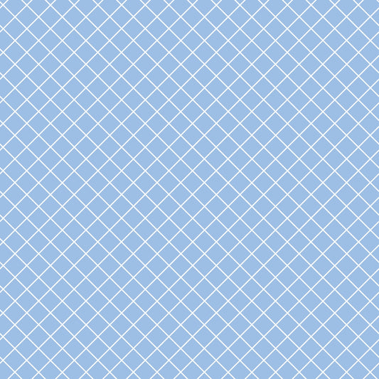 A blue background with a white diagonal grid pattern.