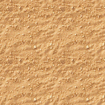 A close-up view of textured sandy ground with small rocks scattered across the surface.