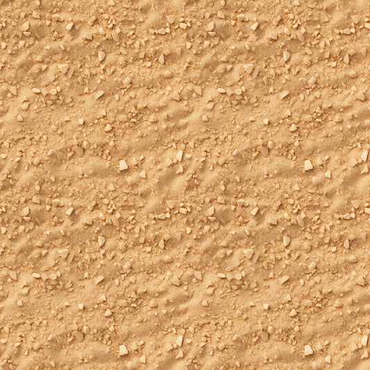 A close-up view of textured sandy ground with small rocks scattered across the surface.