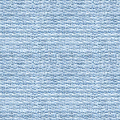 Close-up view of light blue denim fabric with a textured pattern.