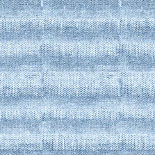 Close-up view of light blue denim fabric with a textured pattern.