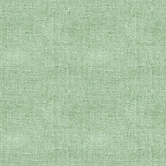 A seamless, light green woven fabric texture with a subtle, repeating pattern.