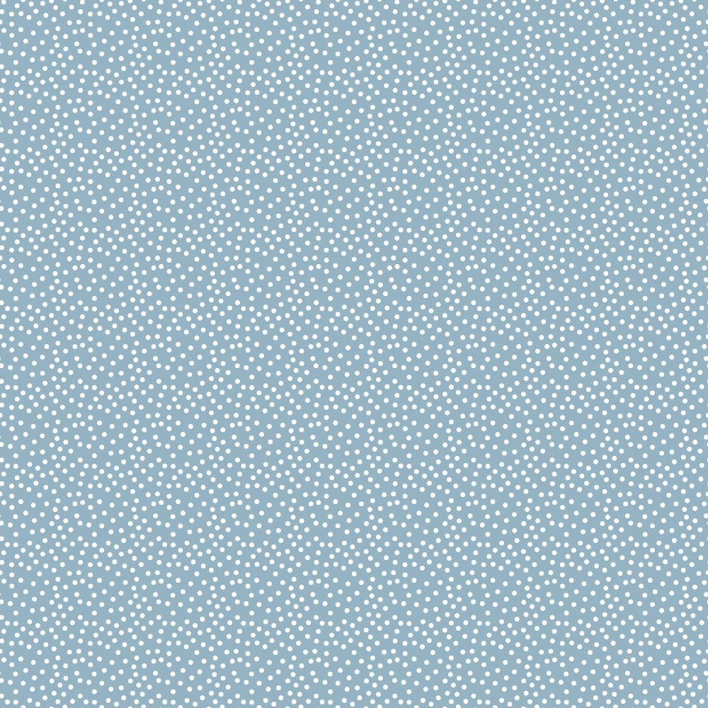 Light blue background with a pattern of evenly spaced small white dots.