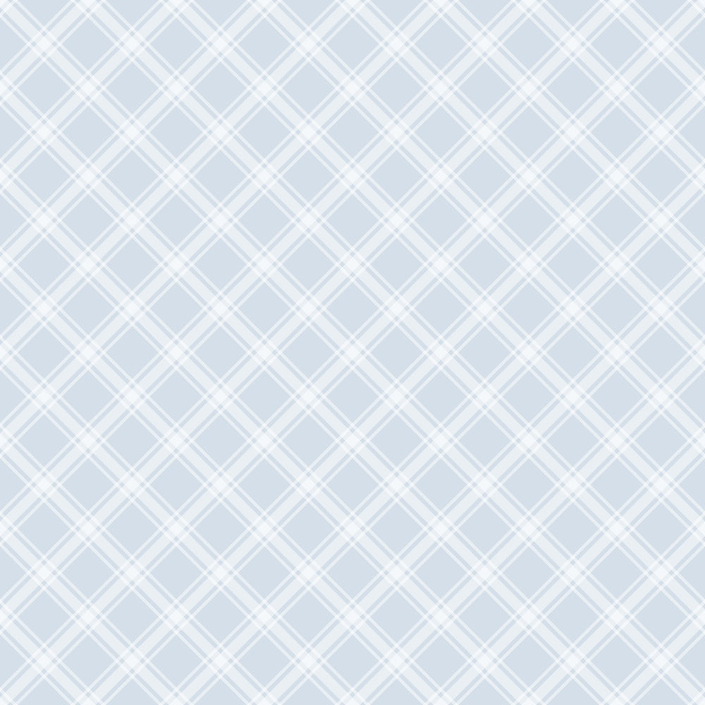 Light blue and white diagonal crisscross pattern on a plain background.