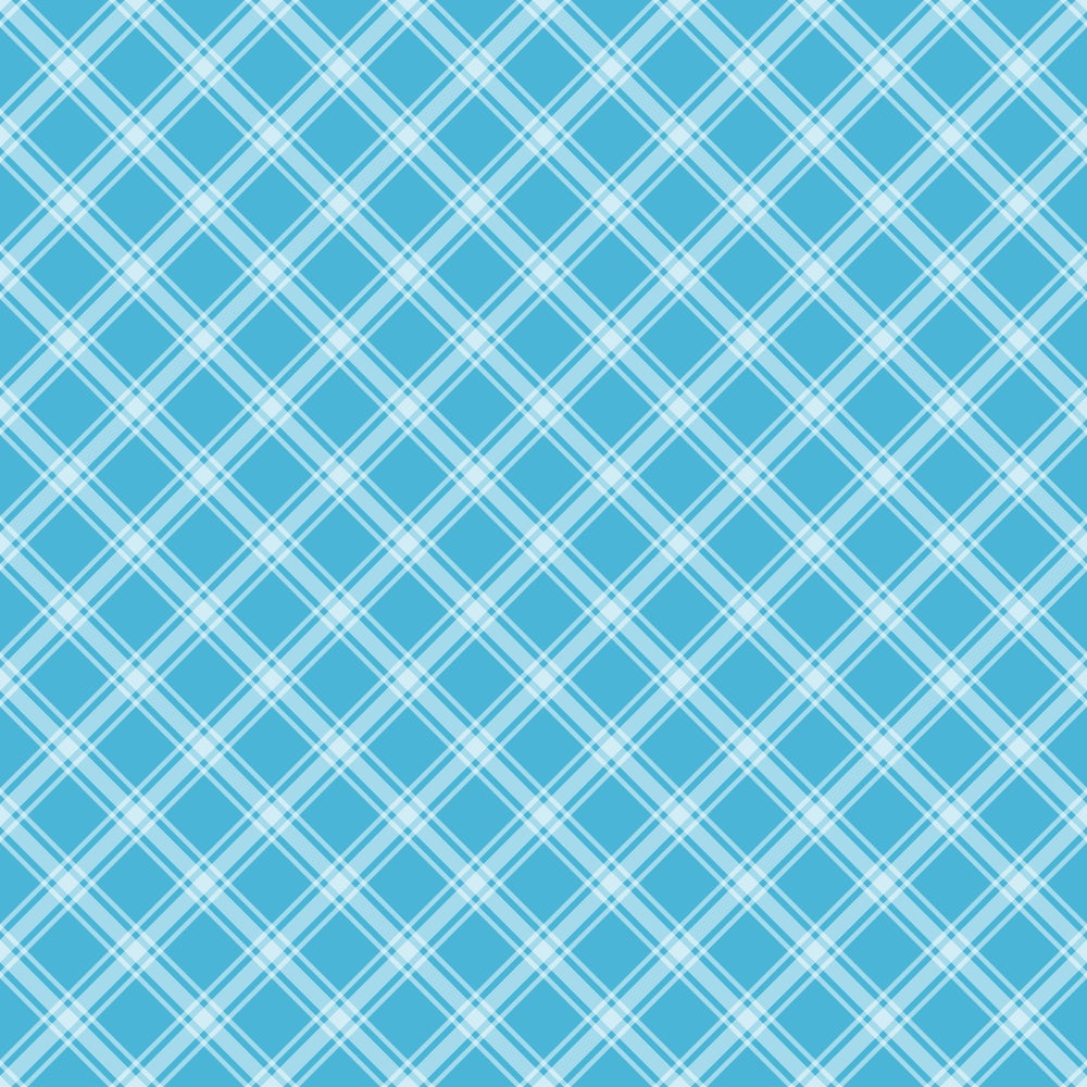 A blue and white crisscross plaid pattern with intersecting diagonal lines forming diamond shapes.