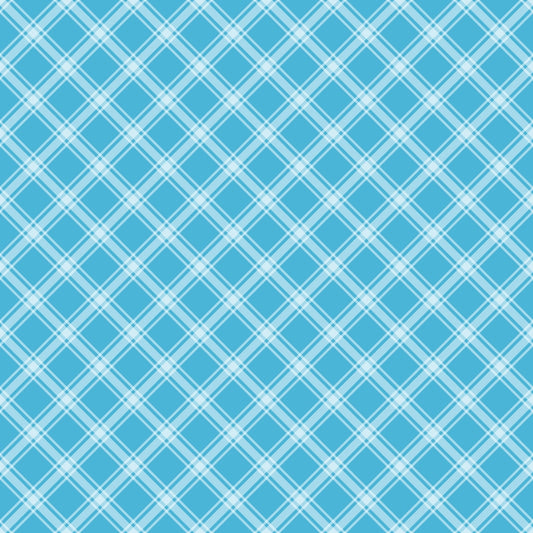 A blue and white crisscross plaid pattern with intersecting diagonal lines forming diamond shapes.