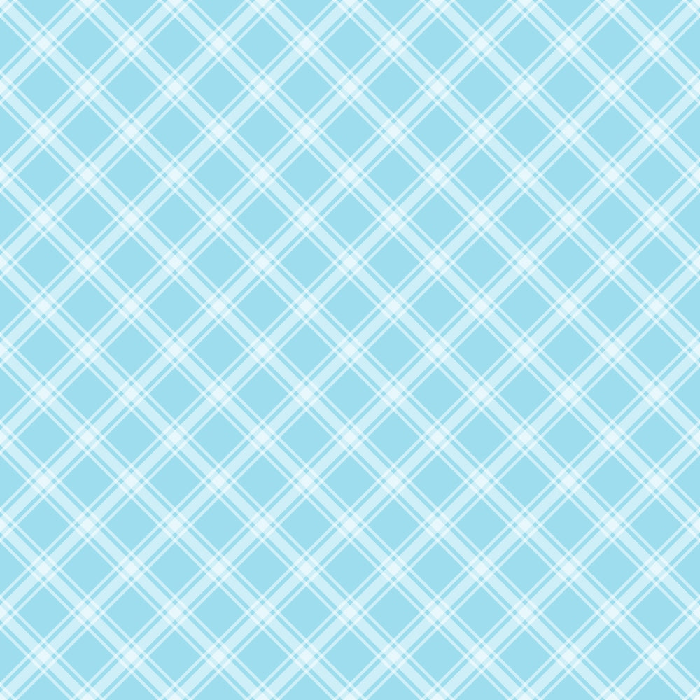 Light blue plaid pattern with intersecting white diagonal lines forming diamond shapes.