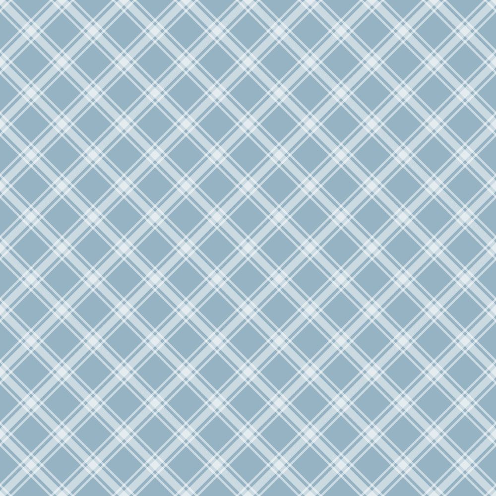 Light blue and white crisscrossing plaid pattern with diagonal lines forming diamond shapes.