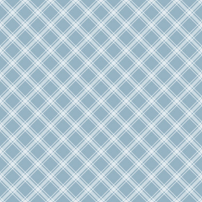 Light blue and white crisscrossing plaid pattern with diagonal lines forming diamond shapes.