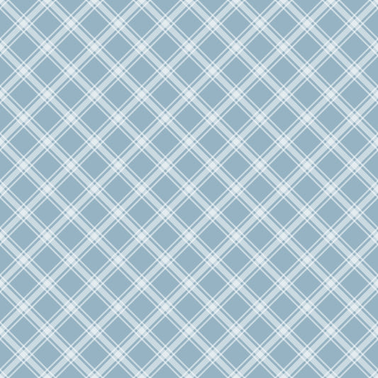 Light blue and white crisscrossing plaid pattern with diagonal lines forming diamond shapes.