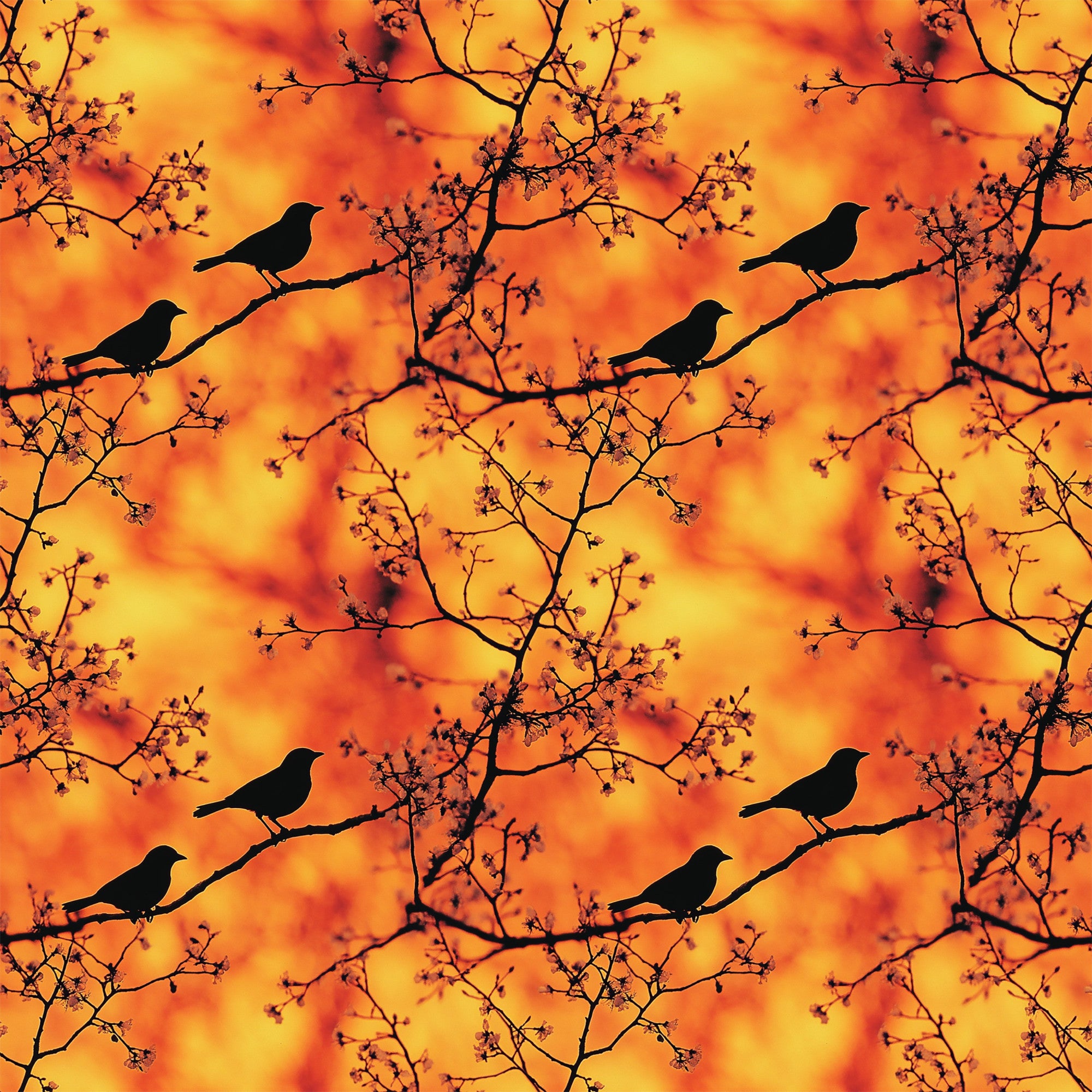 Sunset Bird Pattern 2 Quilting Cotton Fabric – FabricMegaStore.com