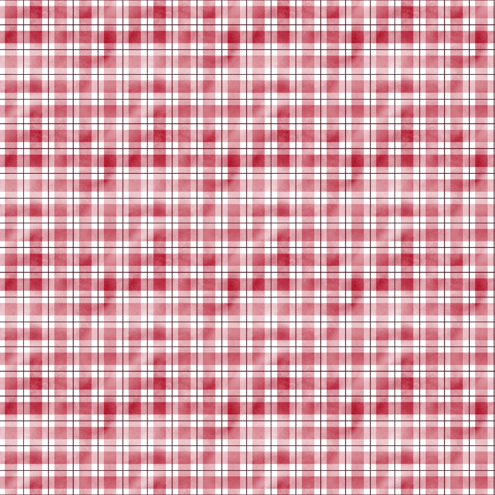 Red and white checkered plaid pattern with thin black lines on a flat surface.