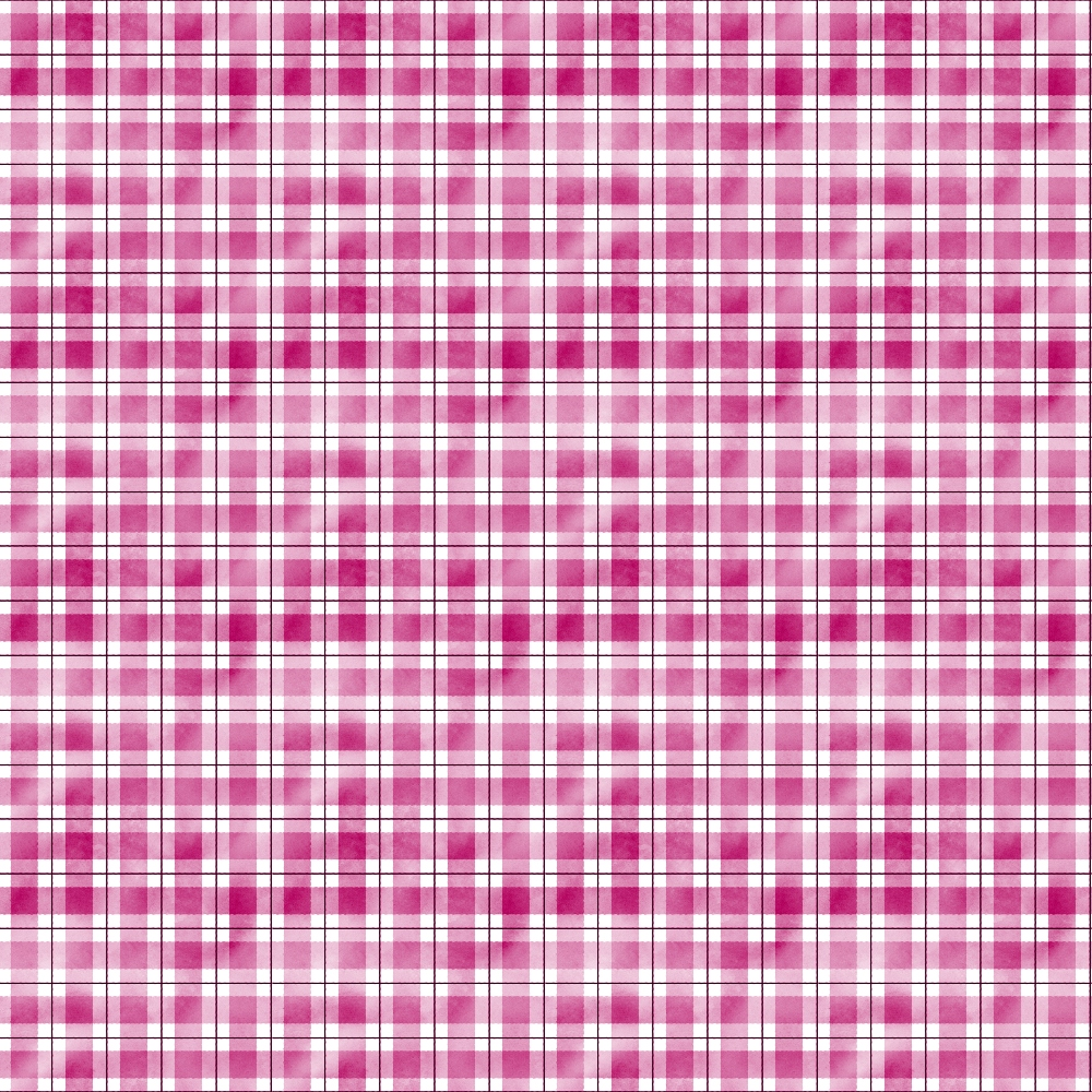 Red and white plaid pattern with intersecting horizontal and vertical lines forming squares.