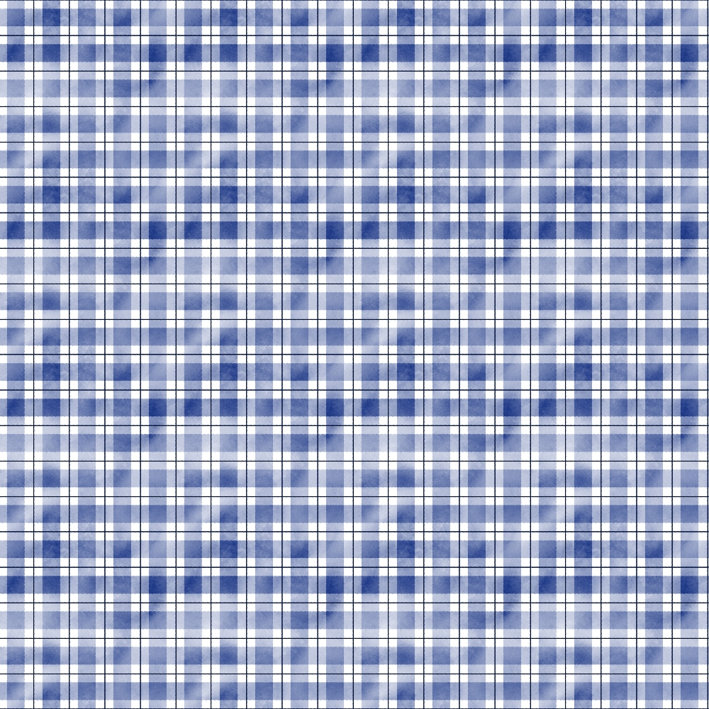 A blue and white tartan plaid pattern with repeating squares and intersecting lines.