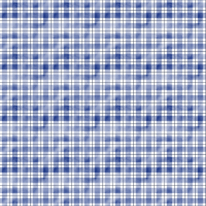 A blue and white tartan plaid pattern with repeating squares and intersecting lines.