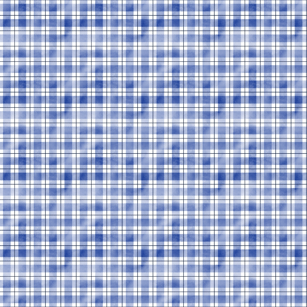 Blue and white plaid pattern with intersecting lines forming squares and rectangles.