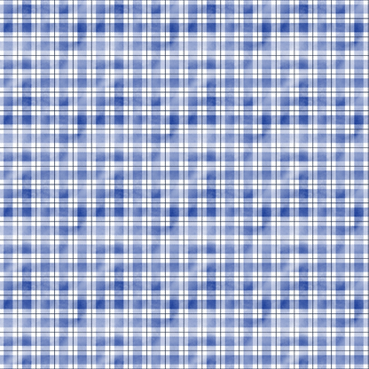 Blue and white plaid pattern with intersecting lines forming squares and rectangles.