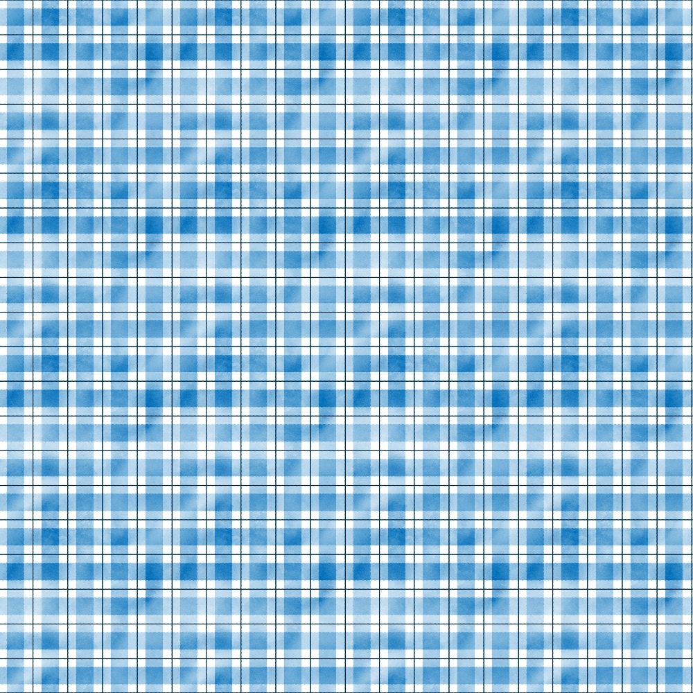 Blue and white plaid pattern with intersecting horizontal and vertical lines.