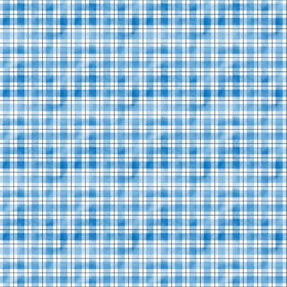 Blue and white plaid pattern with intersecting horizontal and vertical lines.