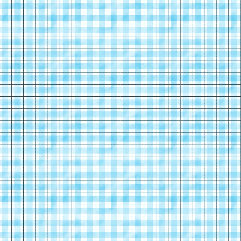 A blue and white plaid pattern with intersecting horizontal and vertical lines.